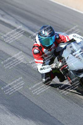 media/Jan-14-2024-SoCal Trackdays (Sun) [[2e55ec21a6]]/Turn 12 Inside (945am)/